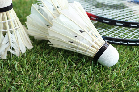 仅可能为这 仅可能为这