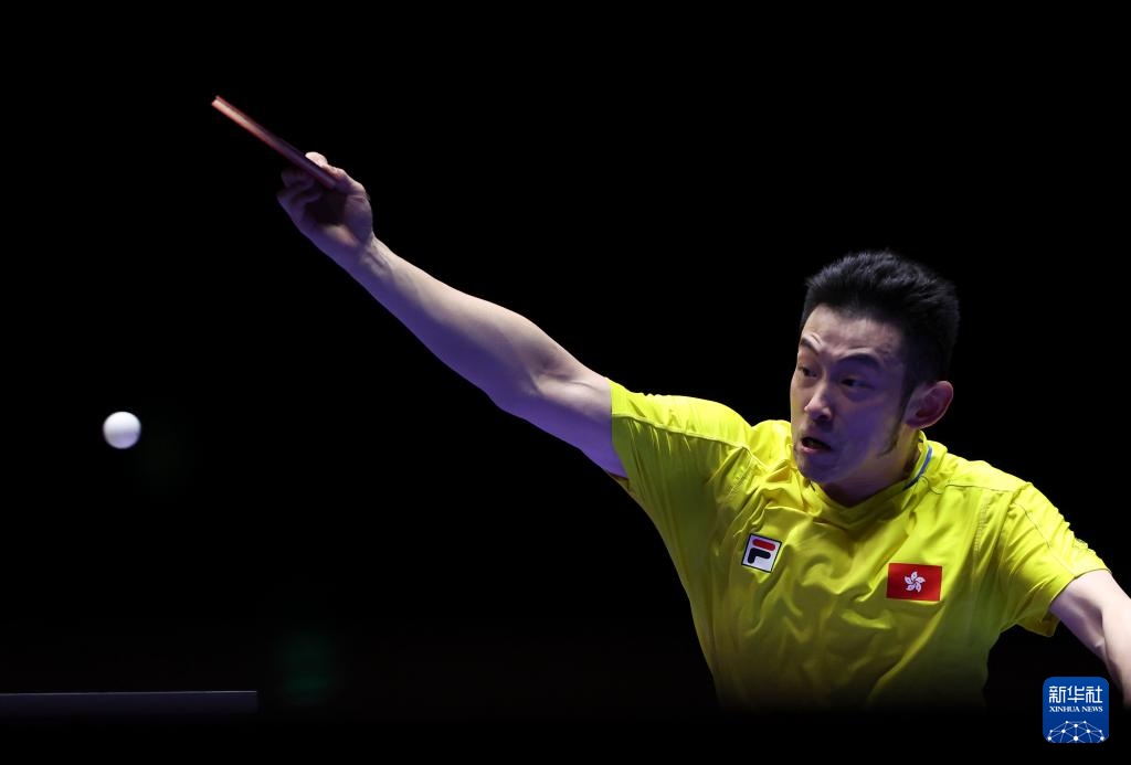 国王不仅可 国王不仅可