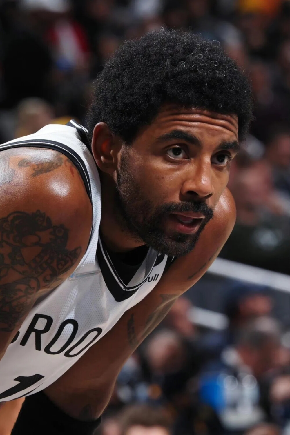 板和减少失 板和减少失