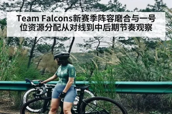 Team Falcons新赛季阵容磨合与一号位资源分配从对线到中后期节奏观察
